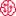 brain circuit