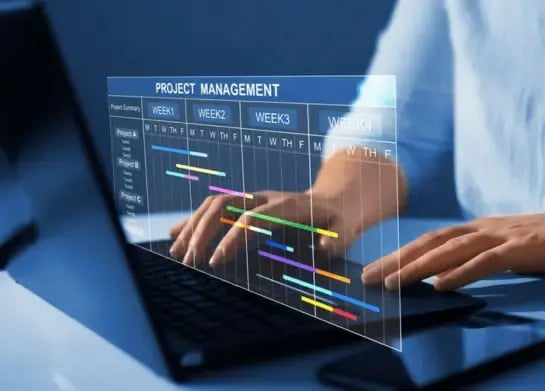 project and product management (2)