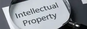 Introduction+to+Intellectual+Property+Rights.webp
